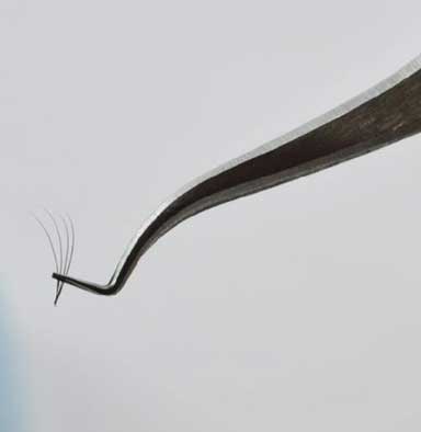 V-TWEEZER-NEW-PERFECTION-MAXIMUM_Cils France Eyelash Extensions