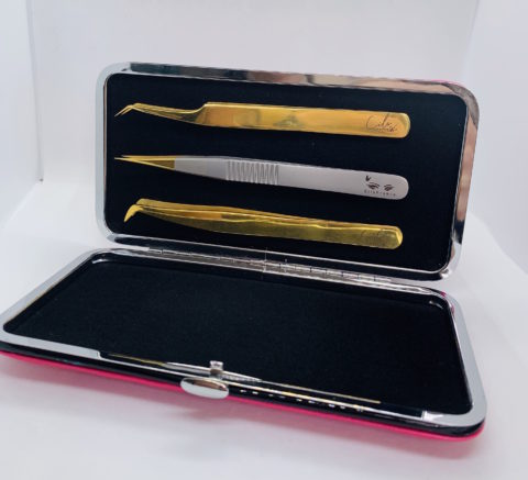 tweezers and magnetic case